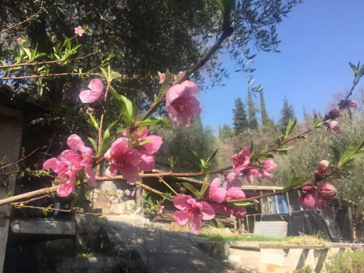 Hébergement de vacances Residence Lou Naouc Grasse